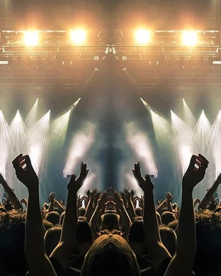 Hawaii's Official Valentine's Engagement