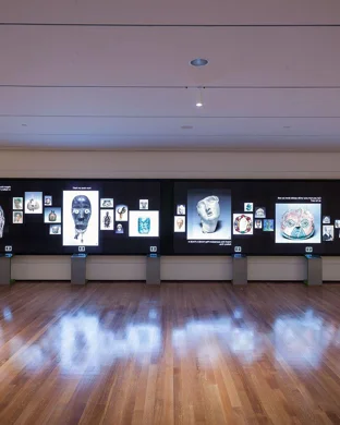 Hawaii Collectors Expo - Sunday event