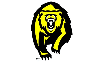 California Golden Bears Football