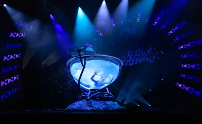 Cirque du Soleil - 'Auana