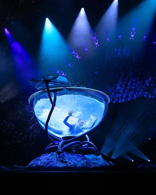 Cirque du Soleil - 'Auana