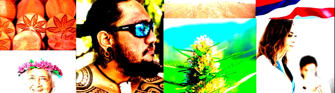 Hawaii Cannabis Expo