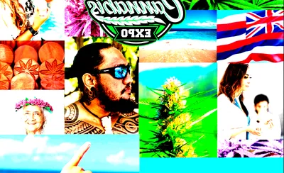 Hawaii Cannabis Expo