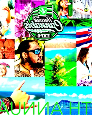 Hawaii Cannabis Expo - Sunday event