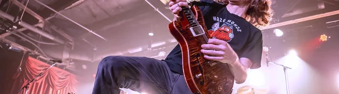 Pigeons Playing Ping Pong