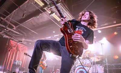 Pigeons Playing Ping Pong