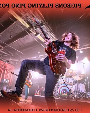 Pigeons Playing Ping Pong