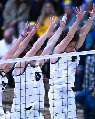 UC Santa Barbara Gauchos Volleyball