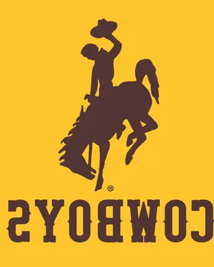 Wyoming Cowboys vs. Hawaii Rainbow Warriors