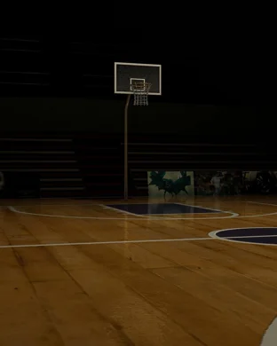 Hawaii Rainbow Warriors Basketball