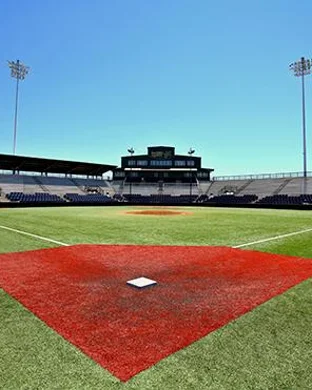 UCLA Bruins Softball