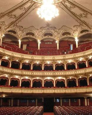 Kamelehua: The Sheltering Tree